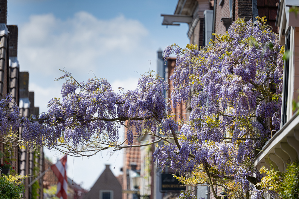 Tarieven-headerfoto