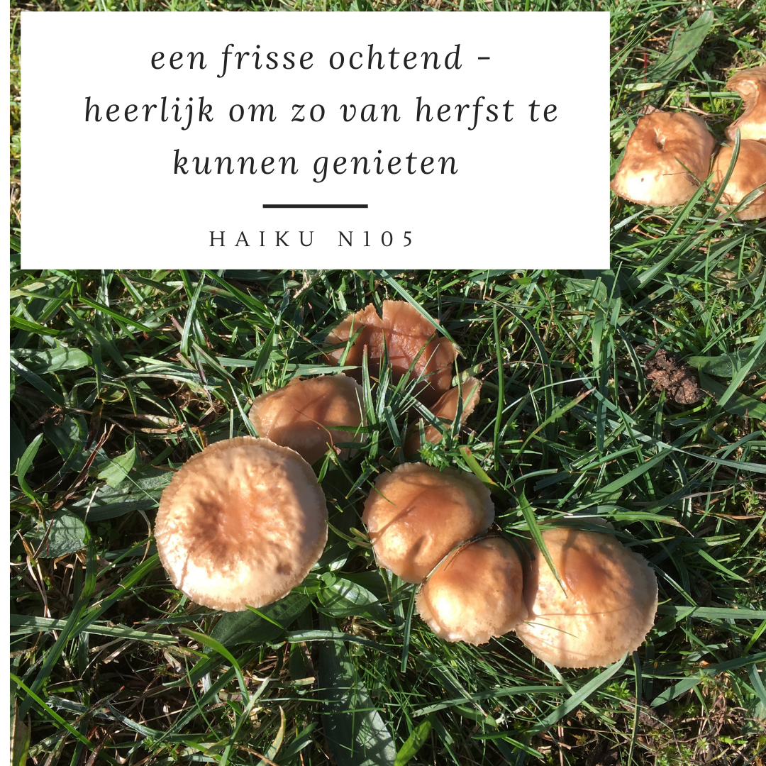 Haiku-n105-herfst