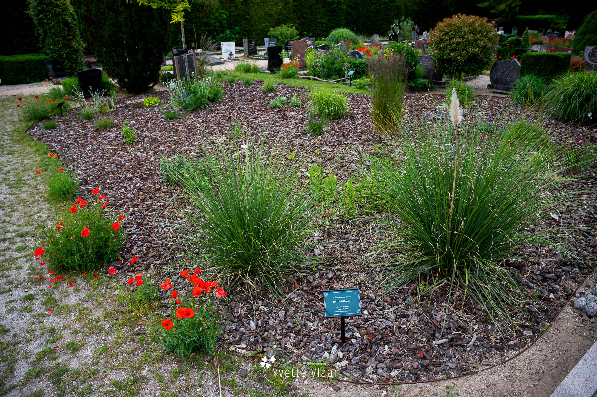 Natuurbegraven in Alkmaar